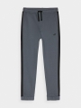 Pantalones de Chándal para Chico - Gris/Grafito - 4FJWAW24TTROM759