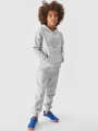 Sudadera con capucha para niño - gris 4FJWMM00TSWSM1292 gris - 4FJWMM00TSWSM1292-27M