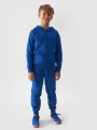 Sudadera con capucha para niño - cobalto 4FJWMM00TSWSM1292 azul - 4FJWMM00TSWSM1292-36S