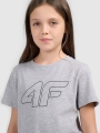 Camiseta Oversize para Chica - Gris - 4FJWMM00TTSHF2333       