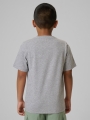 Camiseta para Chico - Gris - 4FJWMM00TTSHM2331   