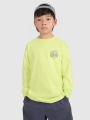 Camiseta de Manga Larga Lisa para Chico - Verde - 4FJWSS25TLONM435       