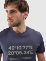 Camiseta regular de hombre con estampado - gris 4FWSS25TTSHM2209 gris